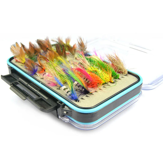 64pcs Fly Hooks Kit with Clear Fly Box - Dry Wet Flies for Fly Fishing Accessories