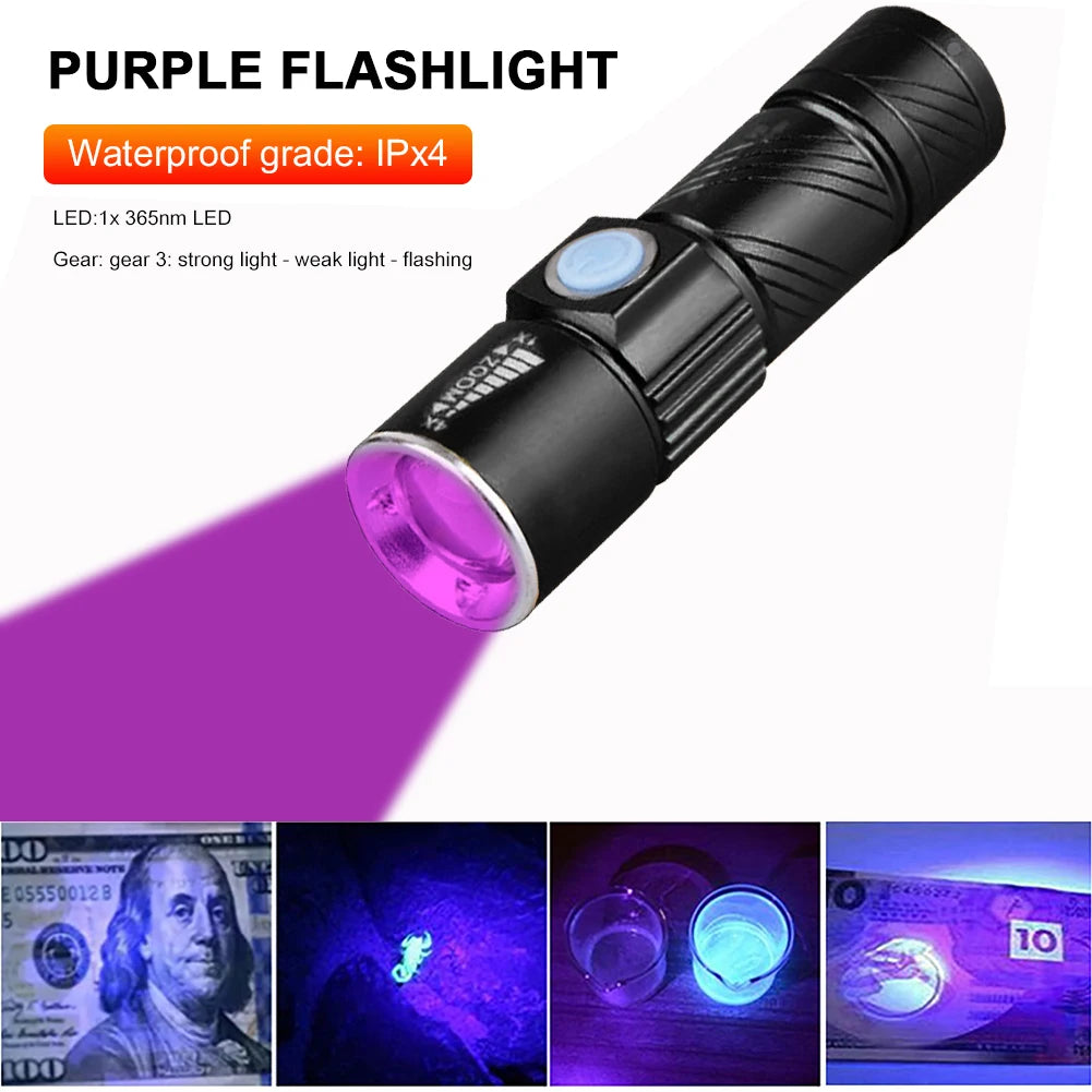Mini UV Flashlight Fluorescent Jade Money Detector USB Charging Ultraviolet Blacklight for Dog Cat Urine Pet Stains