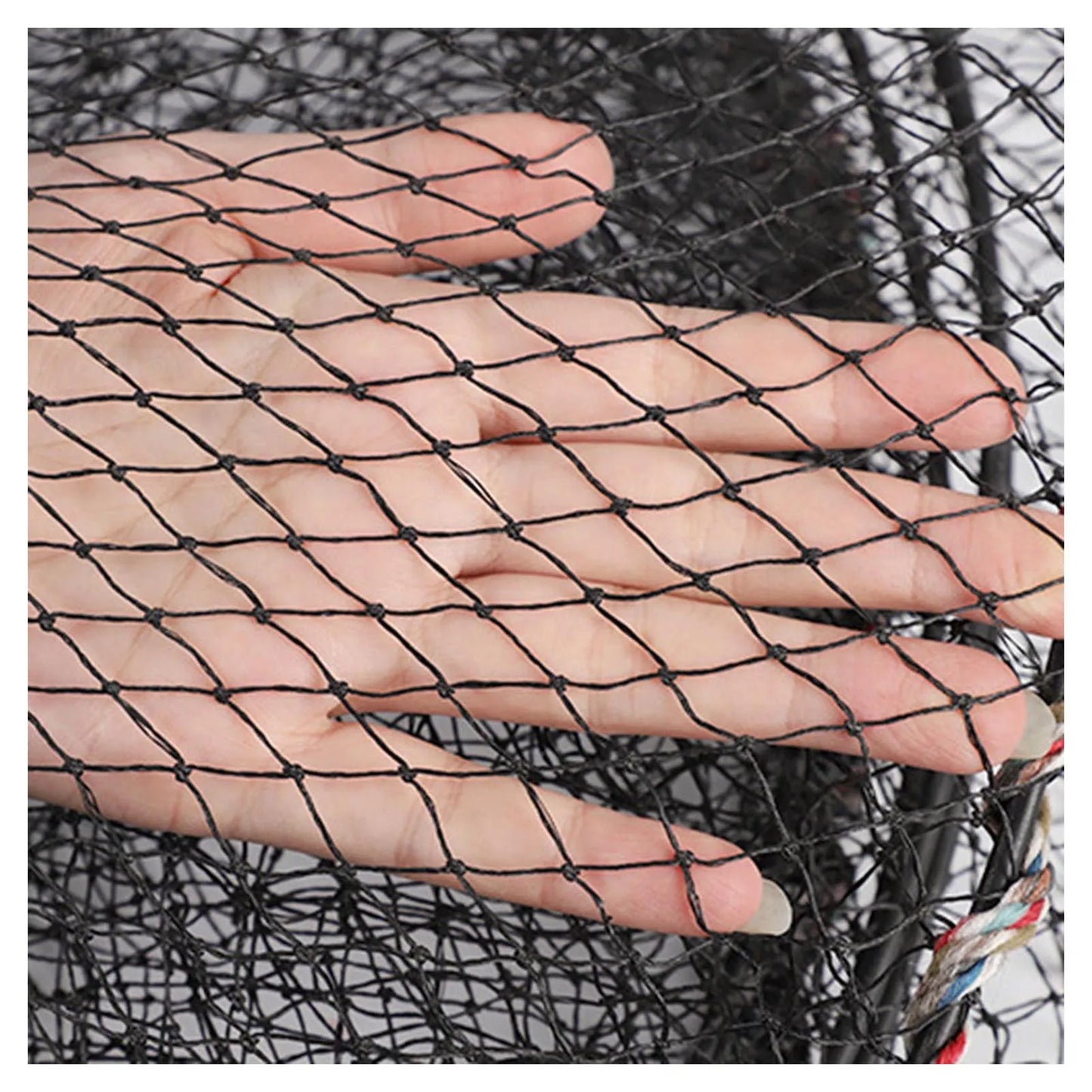 Long Fishing Nets Shrimp Trap Cage Collapsible Nets Lightweight for Smelt Eel Craw Fish