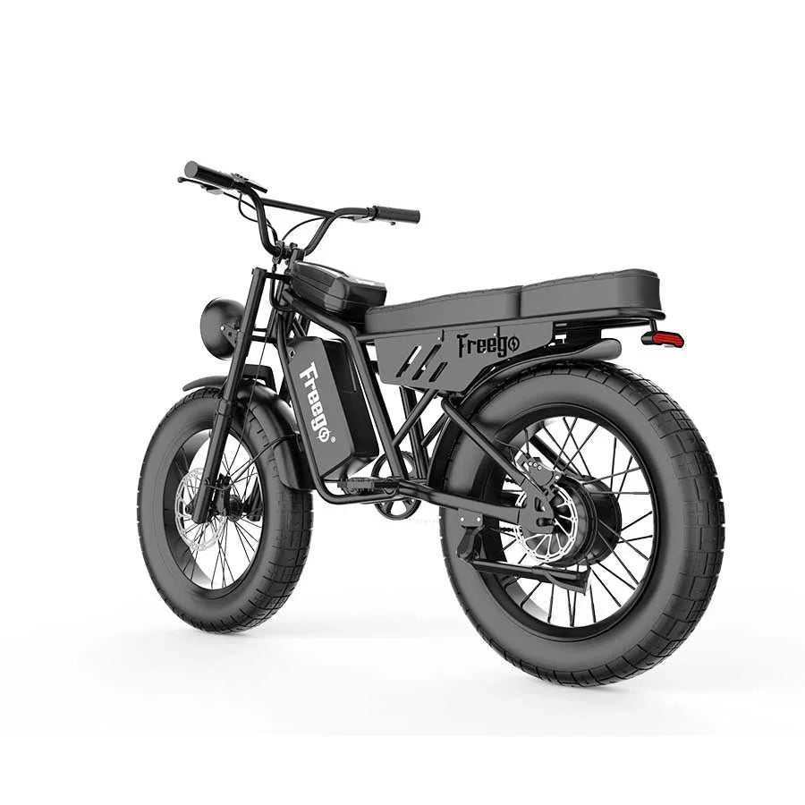 FREEGO F0 Electric Bike 20 Inch Fat Tire Off Road Ebike 48V 10.4AH Battery Powerful Mountain Electric Bicycle
