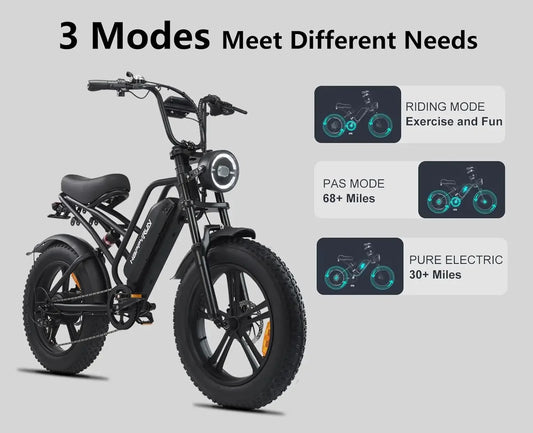 campping 1500W Style Electric Bike Adult eBikes -48V 18Ah Removable Battery 60+ Mile 32MPH Top Speed - All Terrain Fat Tire Elec