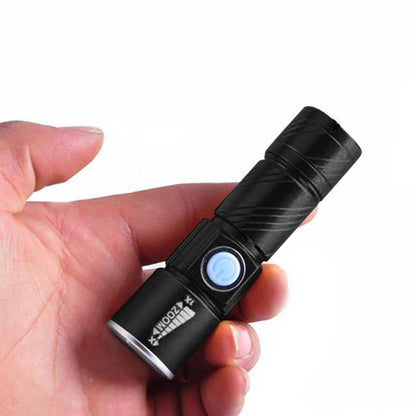 Mini UV Flashlight  Fluorescent Jade Money Detector USB Charging Ultraviolet Blacklight for Dog Cat Urine Pet Stains