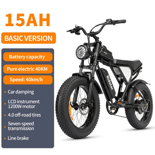 Mountain Urban Electric Bicycle Dirt Bike CE Certified Off-Road EMTB