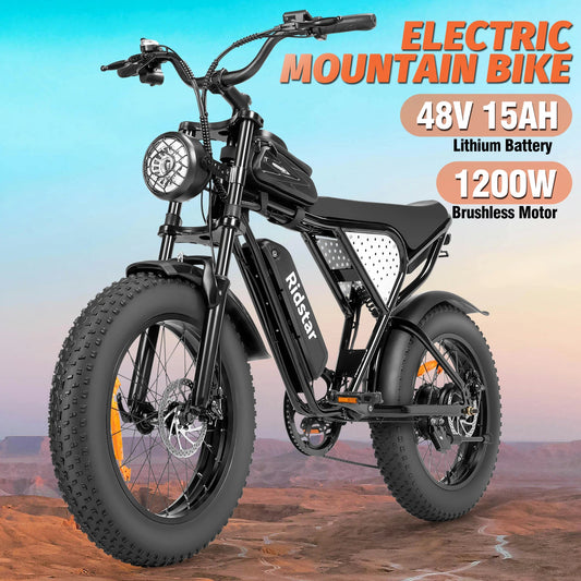 Mountain Urban Electric Bicycle Dirt Bike CE Certified Off-Road EMTB