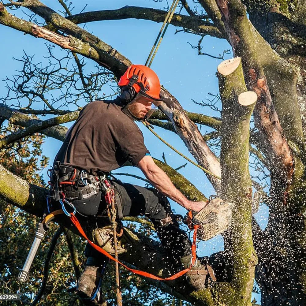 Tree Climbing Gear with Adjustable Climbing Straps and Steel Core Flip Line, Rock Climbing Kit