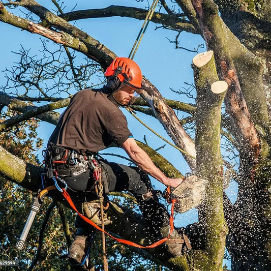 Tree Climbing Gear with Adjustable Climbing Straps and Steel Core Flip Line, Rock Climbing Kit