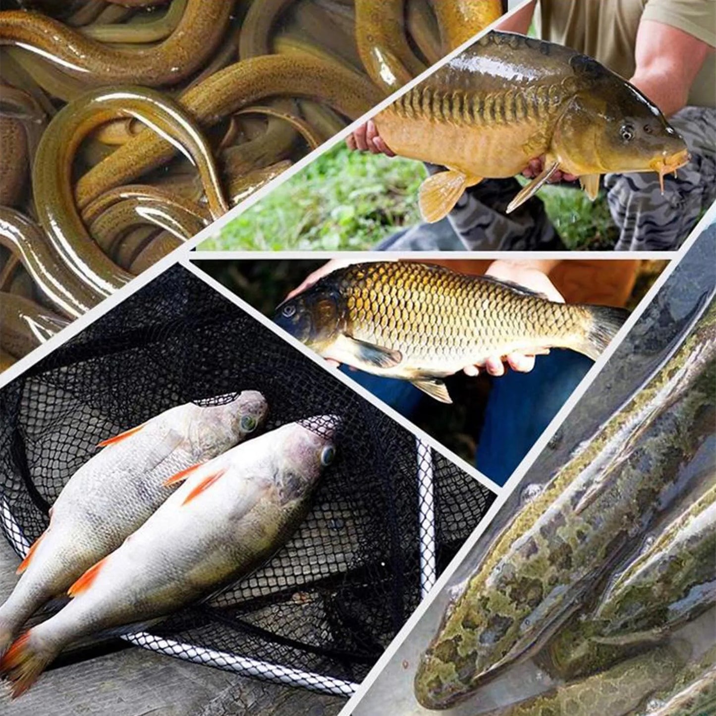 Long Fishing Nets  Shrimp Trap Cage Collapsible Nets Lightweight   for Smelt Eel Craw Fish